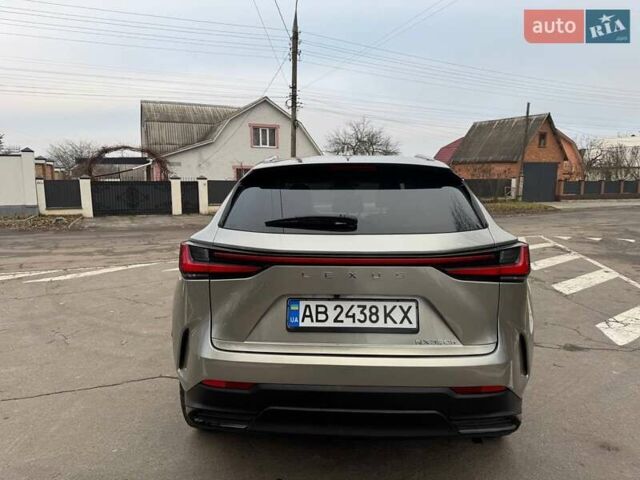 Сірий Лексус НХ, об'ємом двигуна 2.49 л та пробігом 14 тис. км за 49200 $, фото 18 на Automoto.ua