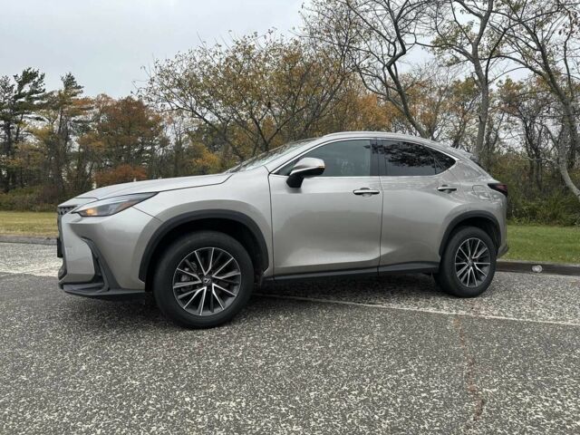 Серый Лексус НХ, объемом двигателя 0 л и пробегом 33 тыс. км за 14000 $, фото 4 на Automoto.ua