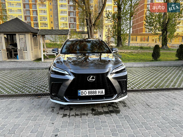 Серый Лексус НХ, объемом двигателя 2.5 л и пробегом 29 тыс. км за 56000 $, фото 8 на Automoto.ua