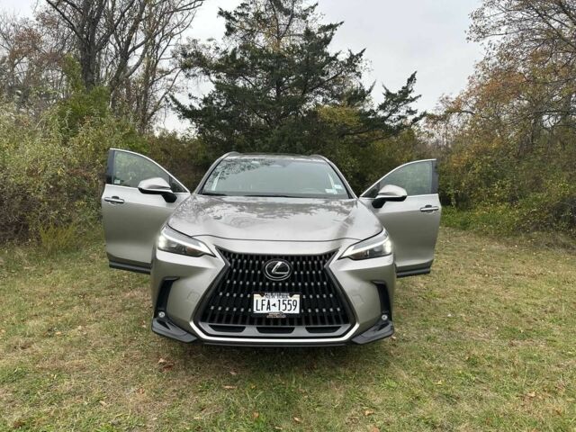 Серый Лексус НХ, объемом двигателя 0 л и пробегом 33 тыс. км за 14000 $, фото 1 на Automoto.ua
