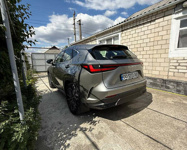 Серый Лексус НХ, объемом двигателя 1.99 л и пробегом 16 тыс. км за 42000 $, фото 10 на Automoto.ua