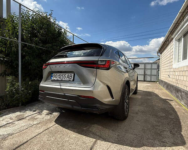 Серый Лексус НХ, объемом двигателя 1.99 л и пробегом 16 тыс. км за 42000 $, фото 11 на Automoto.ua