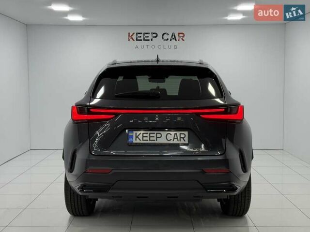 Серый Лексус НХ, объемом двигателя 0 л и пробегом 1 тыс. км за 53500 $, фото 17 на Automoto.ua