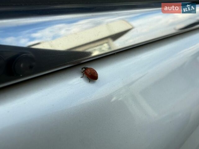 Белый Лексус РХ, объемом двигателя 2.67 л и пробегом 159 тыс. км за 23200 $, фото 50 на Automoto.ua