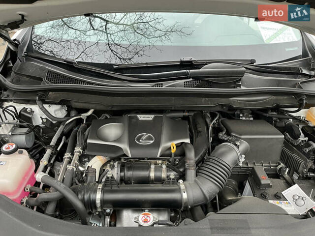 Белый Лексус РХ, объемом двигателя 2 л и пробегом 27 тыс. км за 55000 $, фото 11 на Automoto.ua