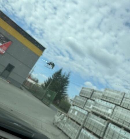 Сірий Лексус РХ, об'ємом двигуна 3.46 л та пробігом 211 тис. км за 12500 $, фото 32 на Automoto.ua