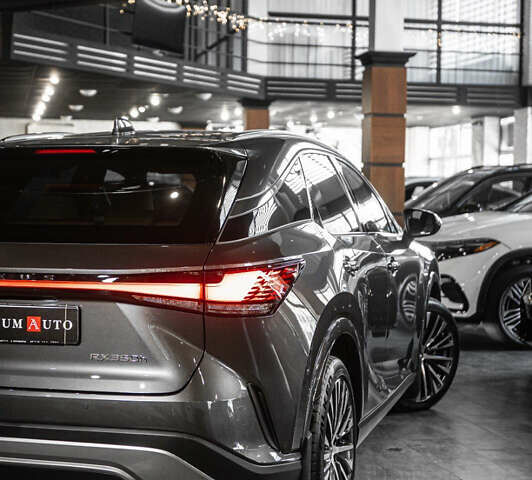 Серый Лексус РХ, объемом двигателя 2.5 л и пробегом 50 тыс. км за 75900 $, фото 16 на Automoto.ua