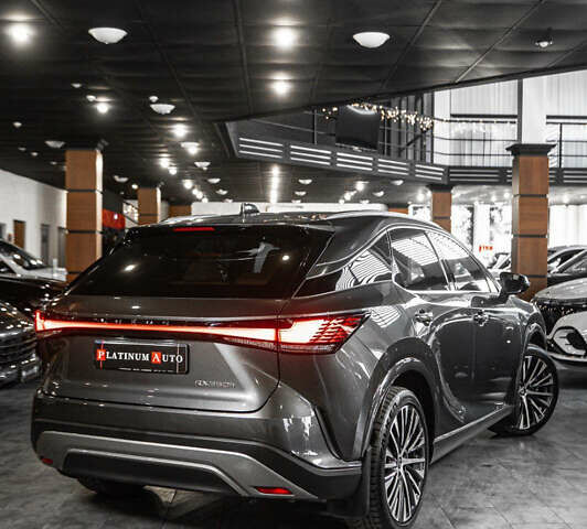 Серый Лексус РХ, объемом двигателя 2.5 л и пробегом 50 тыс. км за 75900 $, фото 17 на Automoto.ua