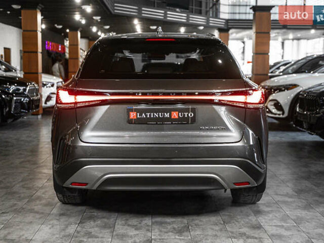 Серый Лексус РХ, объемом двигателя 2.5 л и пробегом 50 тыс. км за 75900 $, фото 20 на Automoto.ua