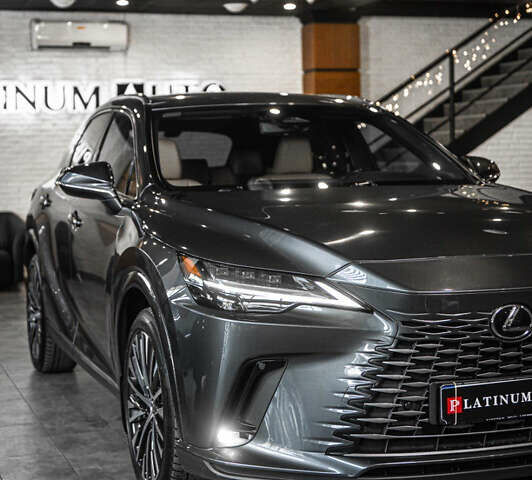 Серый Лексус РХ, объемом двигателя 2.5 л и пробегом 50 тыс. км за 75900 $, фото 9 на Automoto.ua