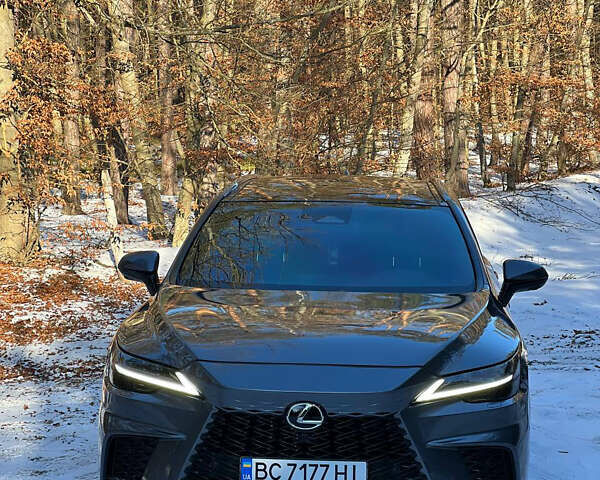 Сірий Лексус РХ, об'ємом двигуна 2.49 л та пробігом 59 тис. км за 59999 $, фото 7 на Automoto.ua