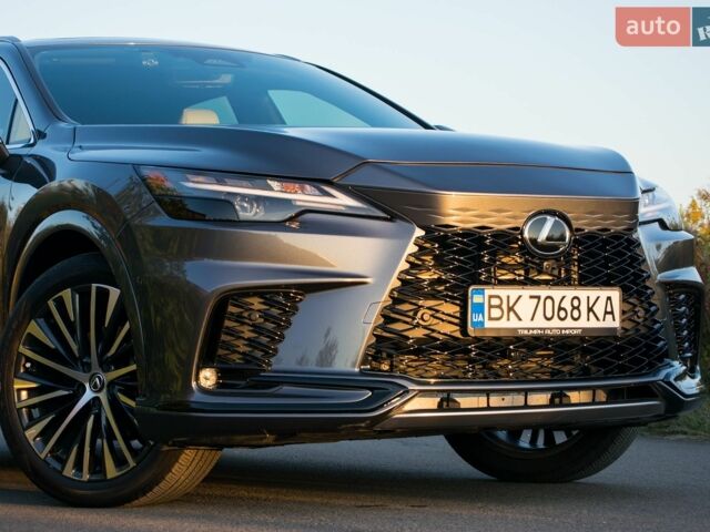 Сірий Лексус РХ, об'ємом двигуна 2.49 л та пробігом 29 тис. км за 65000 $, фото 36 на Automoto.ua