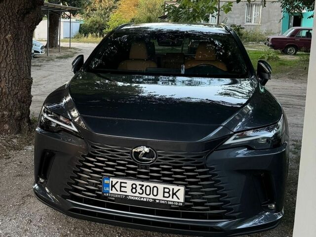 Сірий Лексус РХ, об'ємом двигуна 0 л та пробігом 53 тис. км за 65000 $, фото 17 на Automoto.ua