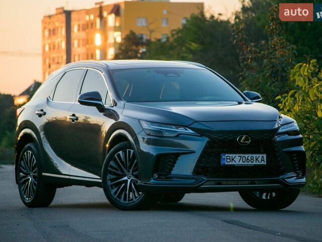 Сірий Лексус РХ, об'ємом двигуна 2.49 л та пробігом 29 тис. км за 65000 $, фото 47 на Automoto.ua