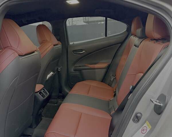 Серый Лексус UX, объемом двигателя 1.99 л и пробегом 80 тыс. км за 29900 $, фото 12 на Automoto.ua