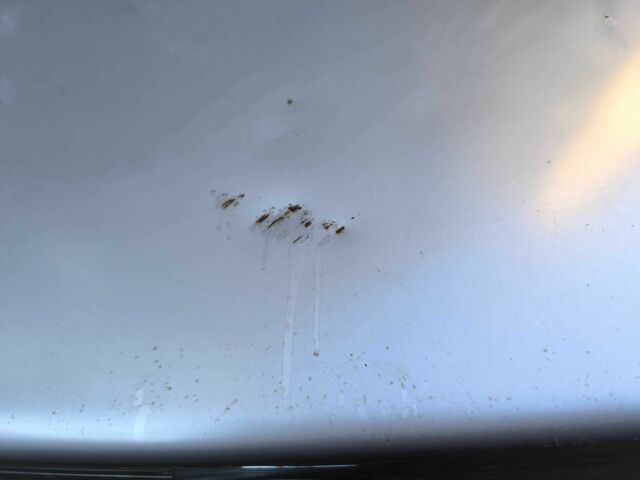 Серый Лифан 620, объемом двигателя 1.6 л и пробегом 179 тыс. км за 3100 $, фото 13 на Automoto.ua