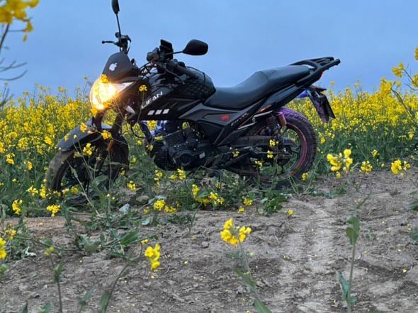 Ліфан Інша, об'ємом двигуна 0.2 л та пробігом 0 тис. км за 484 $, фото 6 на Automoto.ua