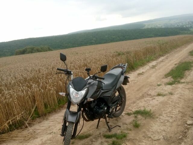 Ліфан Інша, об'ємом двигуна 0.15 л та пробігом 0 тис. км за 689 $, фото 6 на Automoto.ua