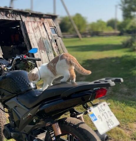 Лифан Другая, объемом двигателя 0.2 л и пробегом 0 тыс. км за 900 $, фото 7 на Automoto.ua