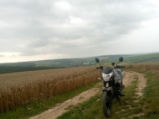 Ліфан Інша, об'ємом двигуна 0.15 л та пробігом 0 тис. км за 689 $, фото 7 на Automoto.ua