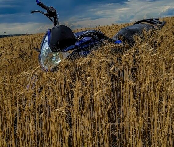 Ліфан Інша, об'ємом двигуна 0.15 л та пробігом 0 тис. км за 763 $, фото 5 на Automoto.ua