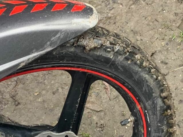 Лифан Другая, объемом двигателя 0.15 л и пробегом 0 тыс. км за 686 $, фото 5 на Automoto.ua