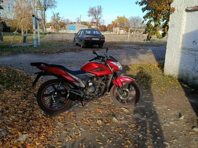 Лифан Другая, объемом двигателя 0.15 л и пробегом 0 тыс. км за 870 $, фото 1 на Automoto.ua