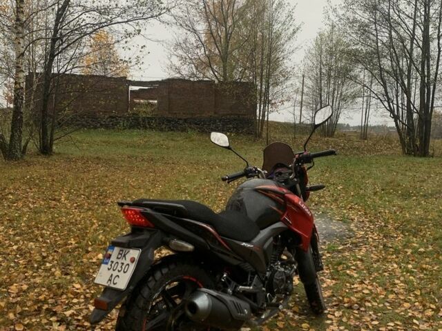 Ліфан Інша, об'ємом двигуна 0 л та пробігом 0 тис. км за 1136 $, фото 2 на Automoto.ua