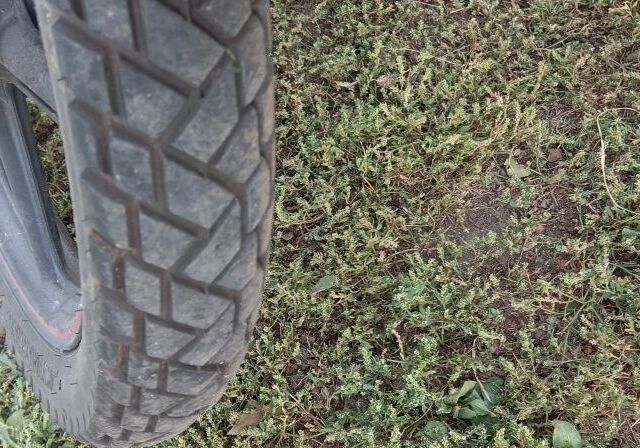 Лифан Другая, объемом двигателя 0.15 л и пробегом 0 тыс. км за 665 $, фото 4 на Automoto.ua