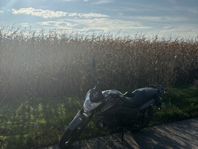 Ліфан Інша, об'ємом двигуна 0.18 л та пробігом 0 тис. км за 800 $, фото 3 на Automoto.ua