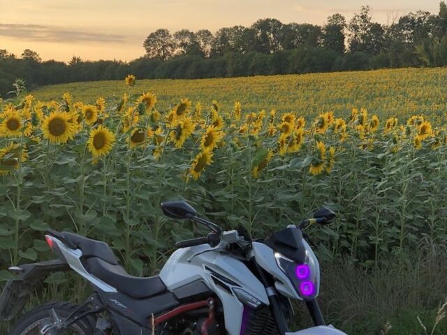 Лифан Другая, объемом двигателя 0.25 л и пробегом 0 тыс. км за 1700 $, фото 6 на Automoto.ua