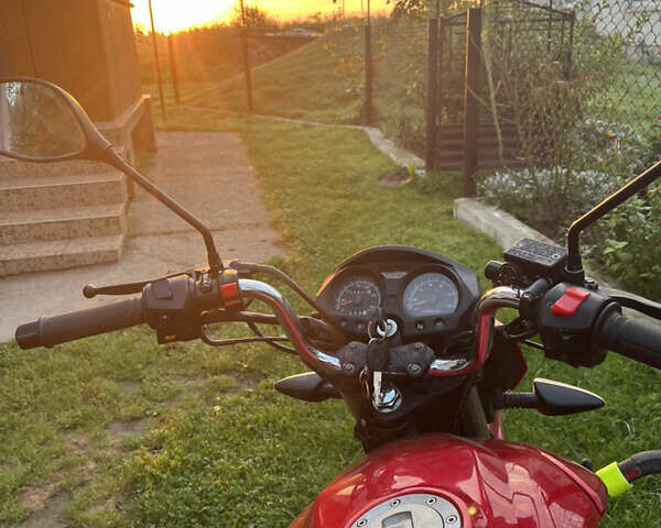 Лифан LF150-2E 2016 в Львове на Automoto.ua Лифан LF150-2E, объемом двигателя 0.15 л и пробегом 6 тыс. км за 620 $, фото 1 на Automoto.ua