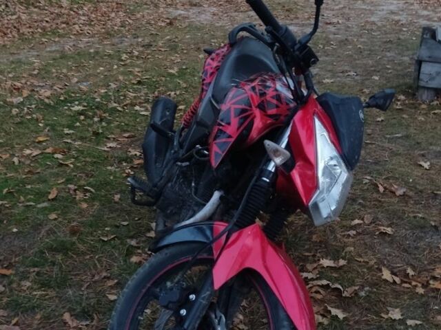 Лифан LF150-2E, объемом двигателя 0.18 л и пробегом 0 тыс. км за 923 $, фото 3 на Automoto.ua