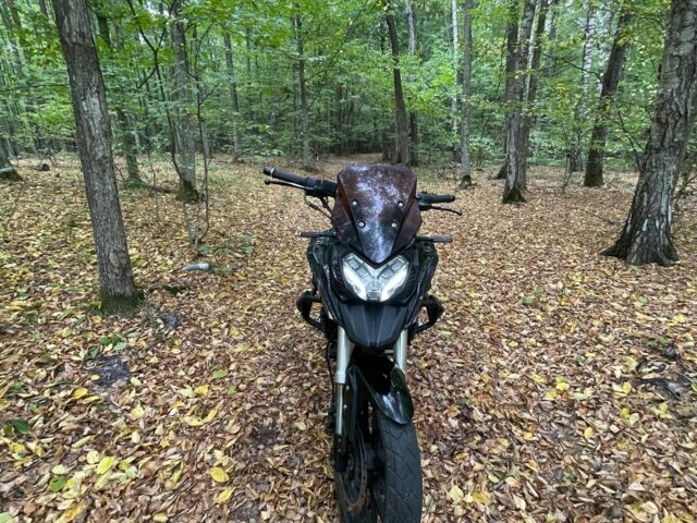 Лифан LF200-10B, объемом двигателя 0.2 л и пробегом 0 тыс. км за 740 $, фото 4 на Automoto.ua