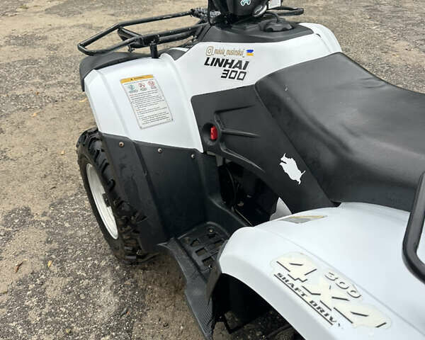 Білий Лінхай 300, об'ємом двигуна 0.3 л та пробігом 9 тис. км за 2650 $, фото 3 на Automoto.ua