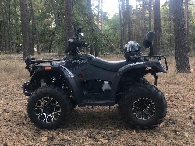 Лінхай 300, об'ємом двигуна 0.3 л та пробігом 0 тис. км за 3500 $, фото 2 на Automoto.ua