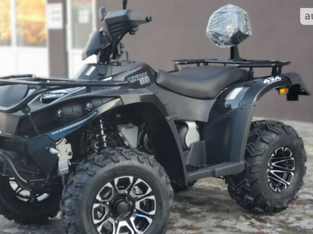 Линхай 300, объемом двигателя 0.28 л и пробегом 0 тыс. км за 4200 $, фото 13 на Automoto.ua