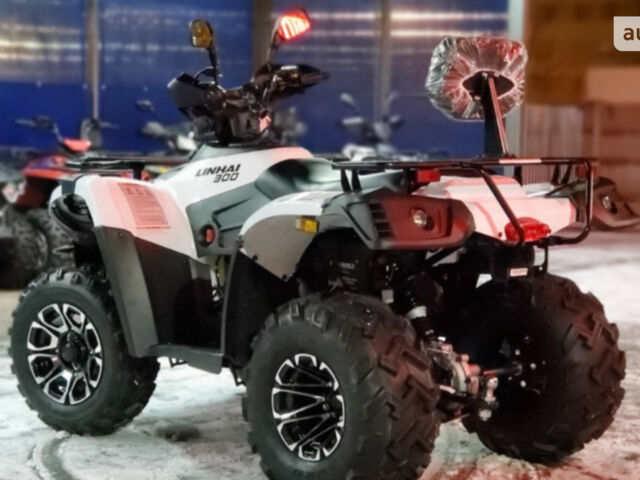 Лінхай 300, об'ємом двигуна 0.28 л та пробігом 0 тис. км за 4200 $, фото 9 на Automoto.ua