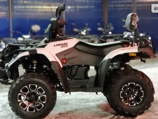 Линхай 300, объемом двигателя 0.28 л и пробегом 0 тыс. км за 4200 $, фото 12 на Automoto.ua