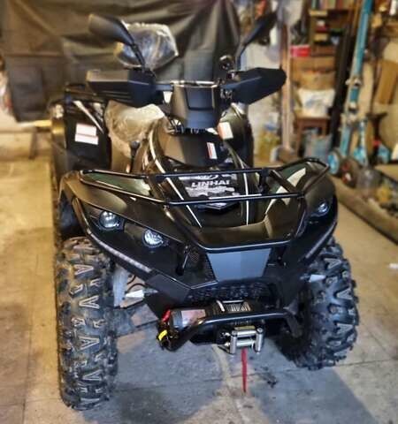 Чорний Лінхай ATV , об'ємом двигуна 0.35 л та пробігом 1 тис. км за 4750 $, фото 38 на Automoto.ua