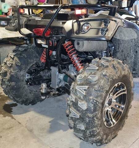 Чорний Лінхай ATV , об'ємом двигуна 0.35 л та пробігом 1 тис. км за 4750 $, фото 21 на Automoto.ua