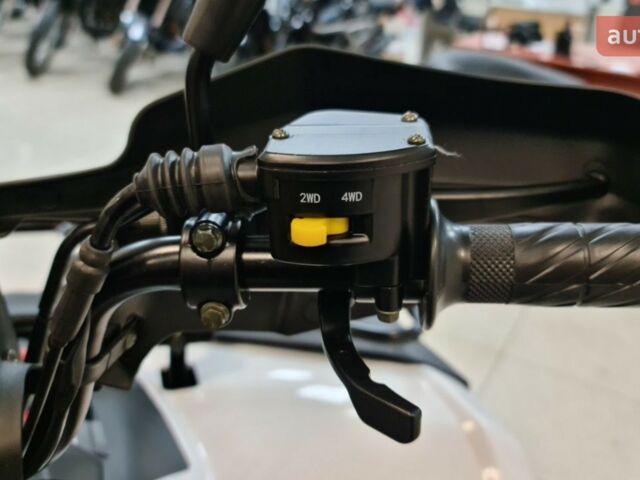 Линхай LH 300ATV-D, объемом двигателя 0.28 л и пробегом 0 тыс. км за 4650 $, фото 19 на Automoto.ua