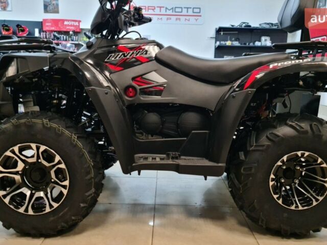 Линхай LH 300ATV-D, объемом двигателя 0.28 л и пробегом 0 тыс. км за 4650 $, фото 2 на Automoto.ua