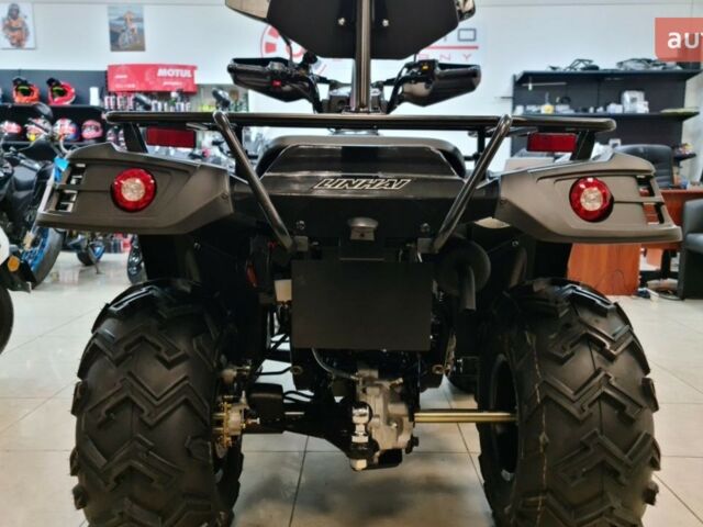 Лінхай LH 300ATV-D, об'ємом двигуна 0.28 л та пробігом 0 тис. км за 4650 $, фото 7 на Automoto.ua