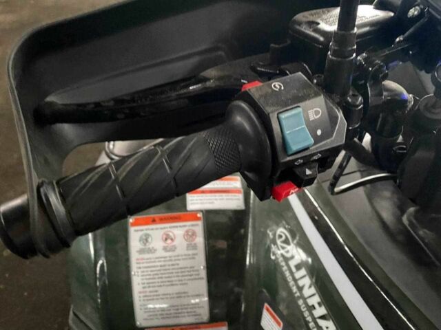 Линхай LH 400ATV-D, объемом двигателя 0 л и пробегом 0 тыс. км за 5300 $, фото 5 на Automoto.ua