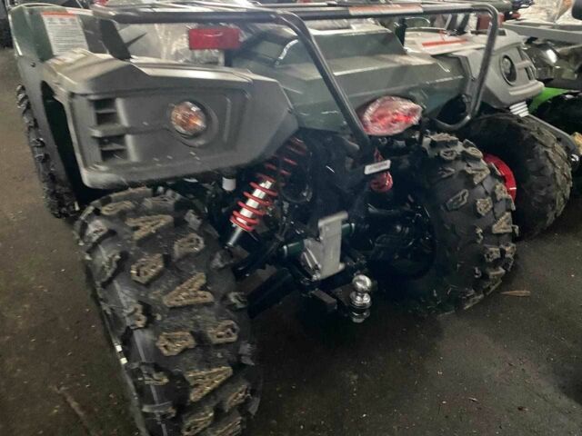 Линхай LH 400ATV-D, объемом двигателя 0 л и пробегом 0 тыс. км за 5280 $, фото 3 на Automoto.ua