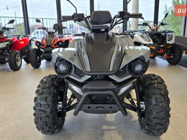 Линхай Z, объемом двигателя 0.18 л и пробегом 0 тыс. км за 2950 $, фото 4 на Automoto.ua