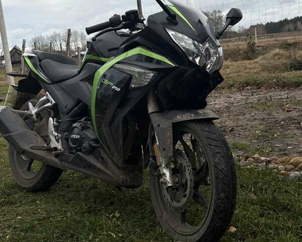 Зеленый Лонкин 250CC, объемом двигателя 0 л и пробегом 5 тыс. км за 1300 $, фото 3 на Automoto.ua