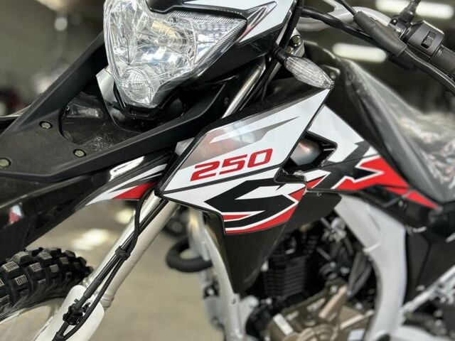 Лонкин 4310, объемом двигателя 0.25 л и пробегом 0 тыс. км за 2149 $, фото 3 на Automoto.ua