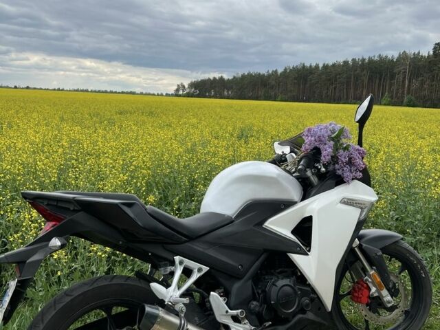 Лонкин 5312, объемом двигателя 0.25 л и пробегом 0 тыс. км за 1200 $, фото 5 на Automoto.ua